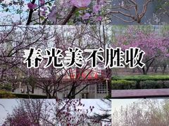 -建国门(地铁站)