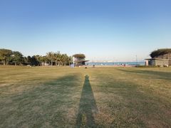 -深圳湾公园(南山区)