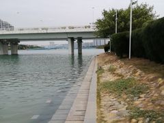 -五缘湾湿地公园