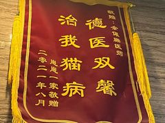 -芭比堂动物医院·心脏科·老年急重症·夜诊·吉雅分院