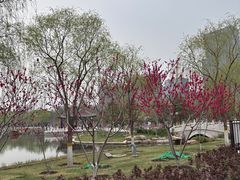 -西海子公园