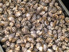 -沙田台山海鲜·酣客酒窖