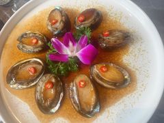 -1937青岛老味道·海肠捞饭·青岛菜(大鲍岛栈桥店)