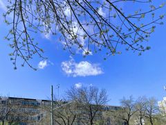 -成寿寺(地铁站)