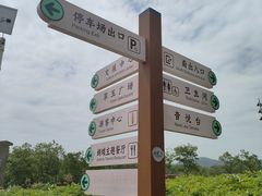 -佛手湖郊野公园