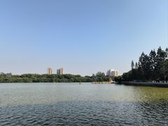 -番禺大夫山森林公园