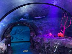 -沈阳海洋探索中心