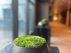 -平湖万怡酒店· 万荟轩
