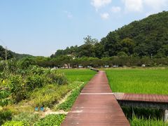 -红山村
