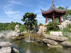 -东莞植物园