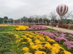 -金卉庄园