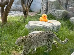 -青藏高原野生动物园