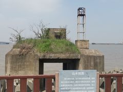 -上海滨江森林公园