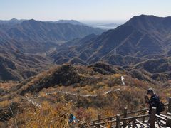 -大岭沟猕猴桃谷风景区
