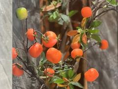 -迎宾大酒店(东北大马路店)