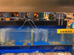 水产区-苏格里岛自助海鲜烤肉(青秀万达店)
