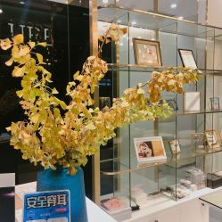 -日本普洛莱茜尔美睫美甲