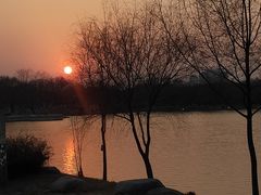 -Supine Bistro溯泮餐厅