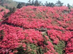 -木兰云雾山