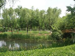 -青枫公园