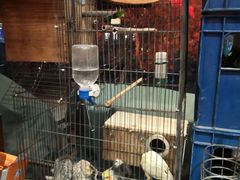 -玉桥餐厅(天坛店)