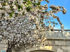 -元大都城垣遗址公园