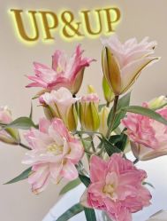 -UP&UP·半永久眉毛眼线机器野生眉