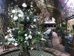-The Grounds of Alexandria
