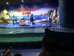 -重庆欢乐海底世界