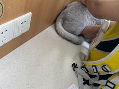 -联合动物医院(光谷诊疗中心)