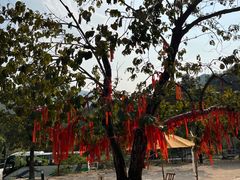 -世间香境·七溪地