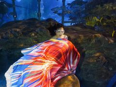 -太平洋海底世界