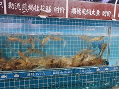 -陶缘一号·四季缘·老字号顺德菜·户外婚礼家宴(西滘店)