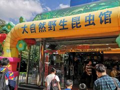 -上海大自然野生昆虫馆(东方明珠·爬宠昆虫探索中心)