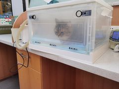 -联合动物医院(光谷诊疗中心)