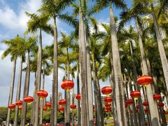 -深圳国际园林花卉博览园