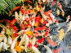 -聚福宝合苑食府(南头镇店)