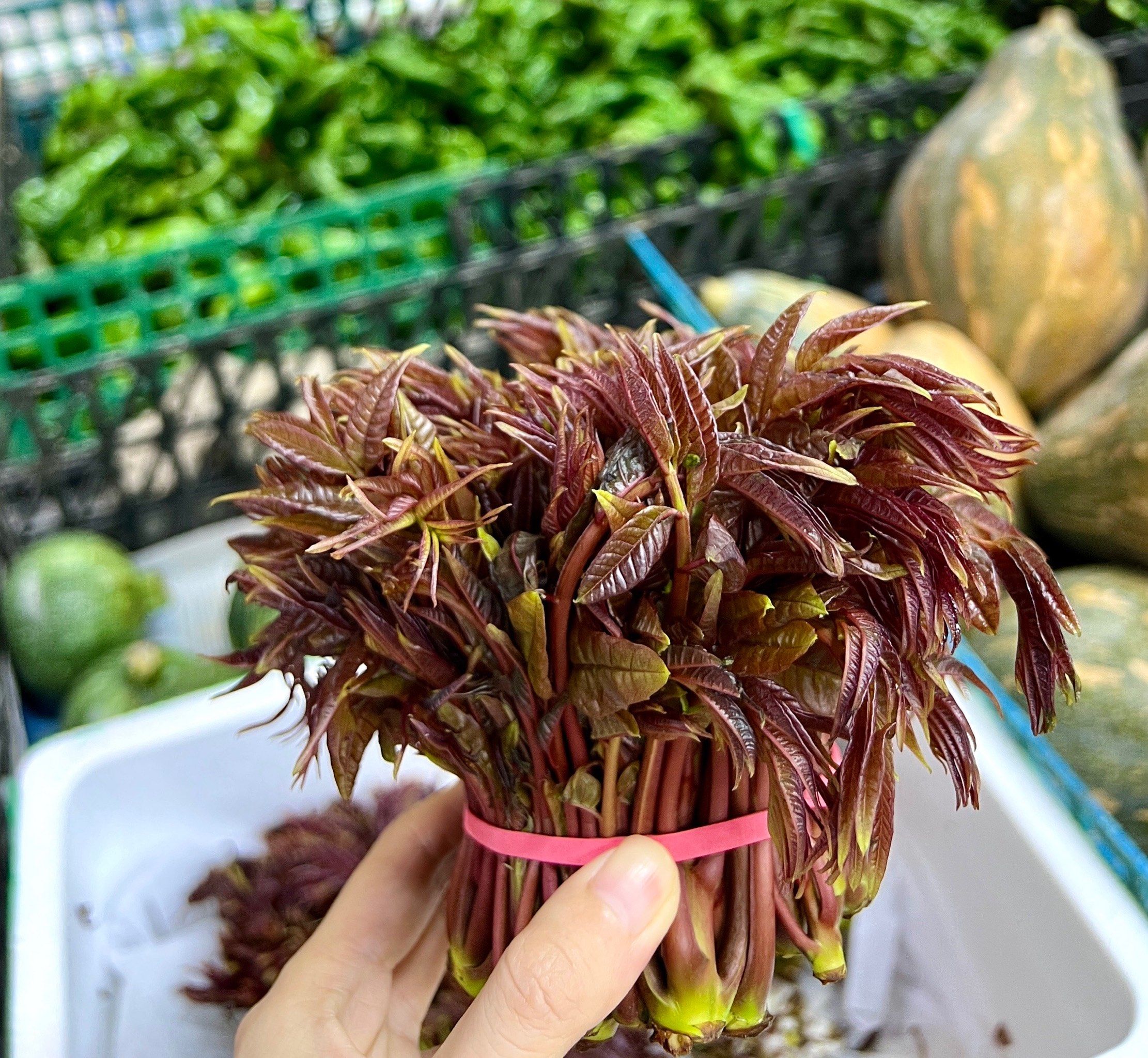 n
#赶上第一口春天 #小炒 #今年的第一顿香椿你吃了吗