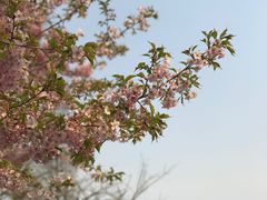 -上海植物园-4号门售票处
