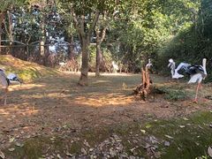 -杭州野生动物世界