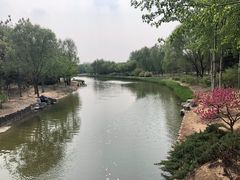 -大兴滨河森林公园