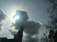 -清真李唯一优质肉丸糊辣汤