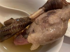 招牌笋干老鸭煲-张生记(双菱店)