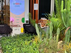 -ommo cafe(半岛城邦店)