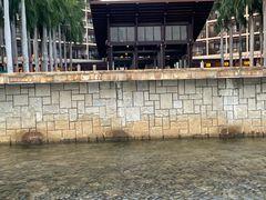 -三亚亚龙湾红树林度假酒店