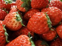 -建德果蔬乐园绪塘草莓基地