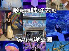 -顺德南宏海立方海洋公园