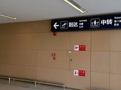 -青岛胶东国际机场