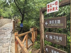 -大岭沟猕猴桃谷风景区