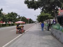 -日照海滨国家森林公园